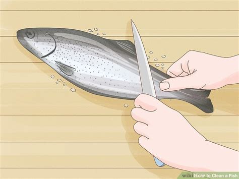 How to Properly Clean a Fish Before Cooking It (A Step.